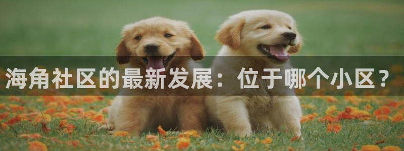 海角社区 小爽:海角社区的最新发展:位于哪个小区?