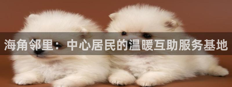 海角社务海角社区:海角邻里:中心居民的温暖互助服务基地