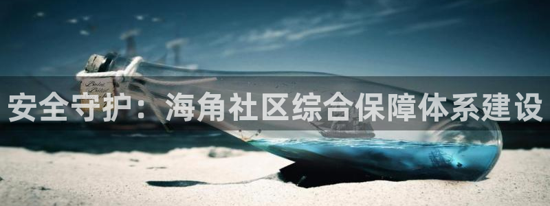 海角社区下载网站:安全守护:海角社区综合保障体系建设